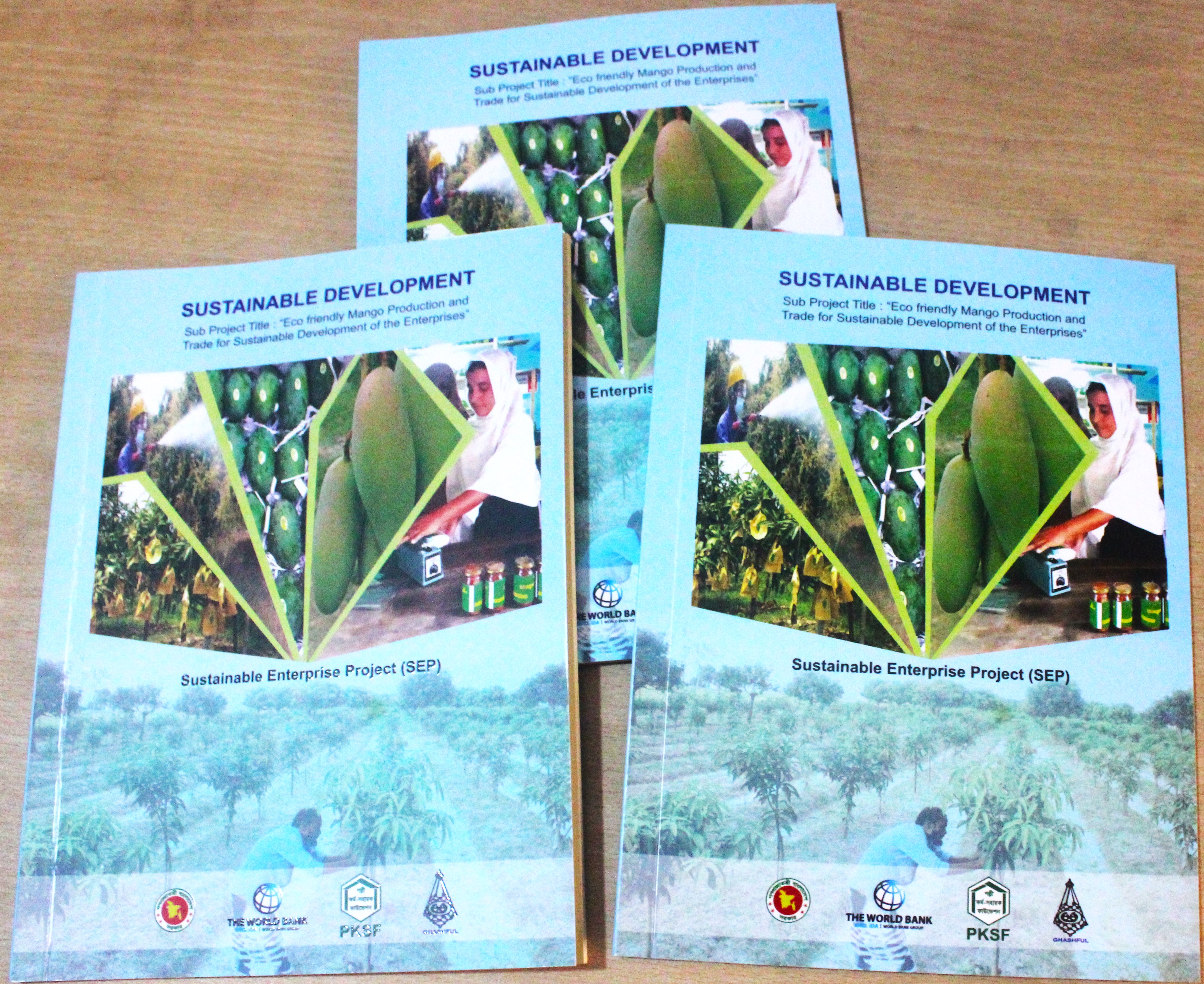 SEP Project Booklet 